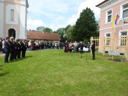 Slavnostno zasadili cepljenko najstarejše vinske trte na svetu 8